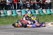 20110501_ales_agnus (3160)